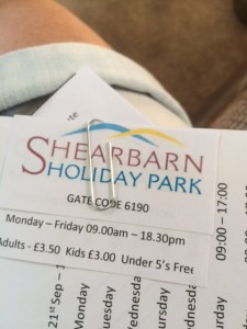 Hastings Touring Park is set on a hill overlooking the town