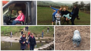 Mount Pleasant and Dovedale