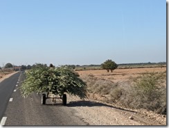 IMG_20200106_122426 (1)