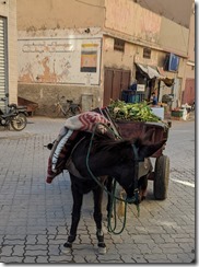 IMG_20200107_111801 (2)