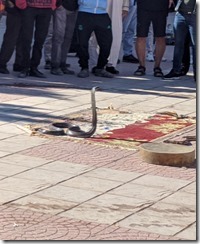 IMG_20200107_123134 (2)